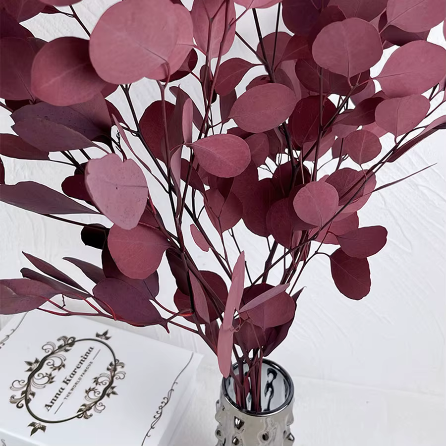 Feuilles rondes d'eucalyptus pour la décoration intérieure