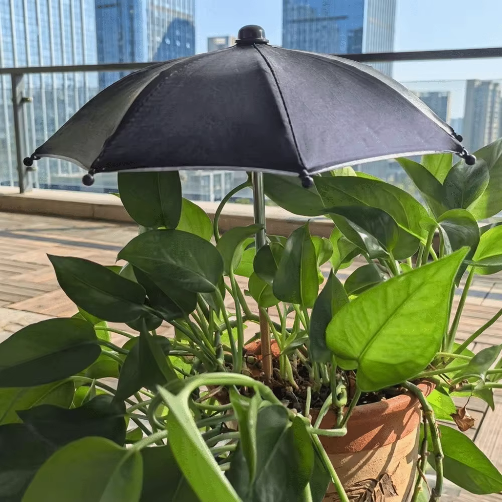 Parasol amovible pour plantes