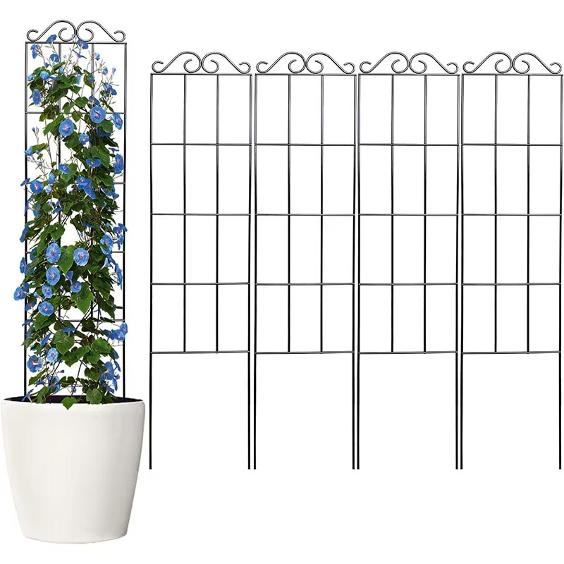 Cadre d'escalade en métal pour plantes grimpantes