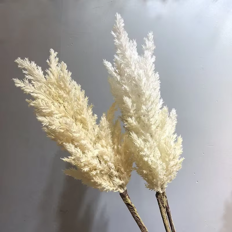 Ensemble de roseaux artificiels pour la décoration intérieure