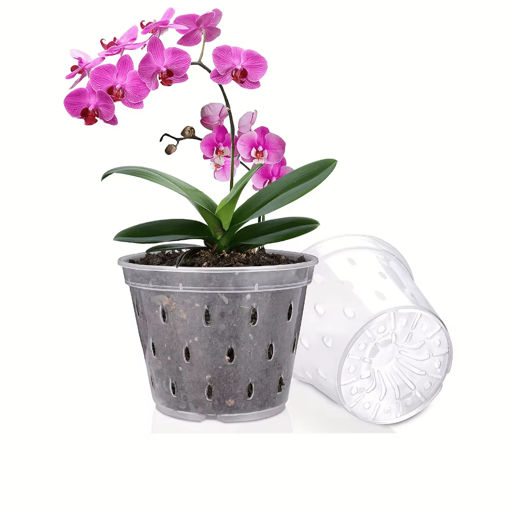 Lot de 3 pots en plastique pour orchidées