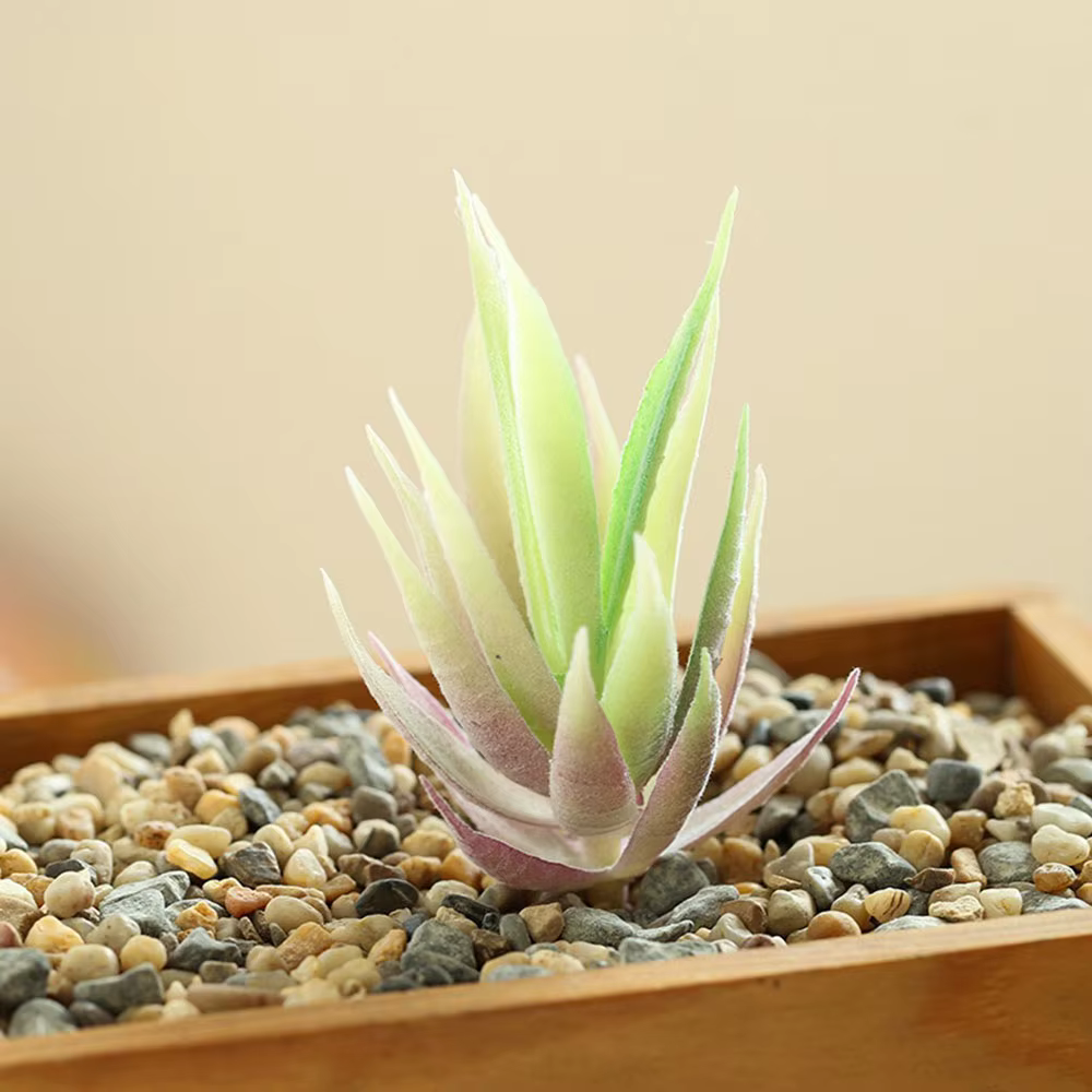 1 pièces simulé succulente faux zèbre Aloe Vera plante mur créatif bricolage accessoires fournitures fleurs artificielles décoration de la maison