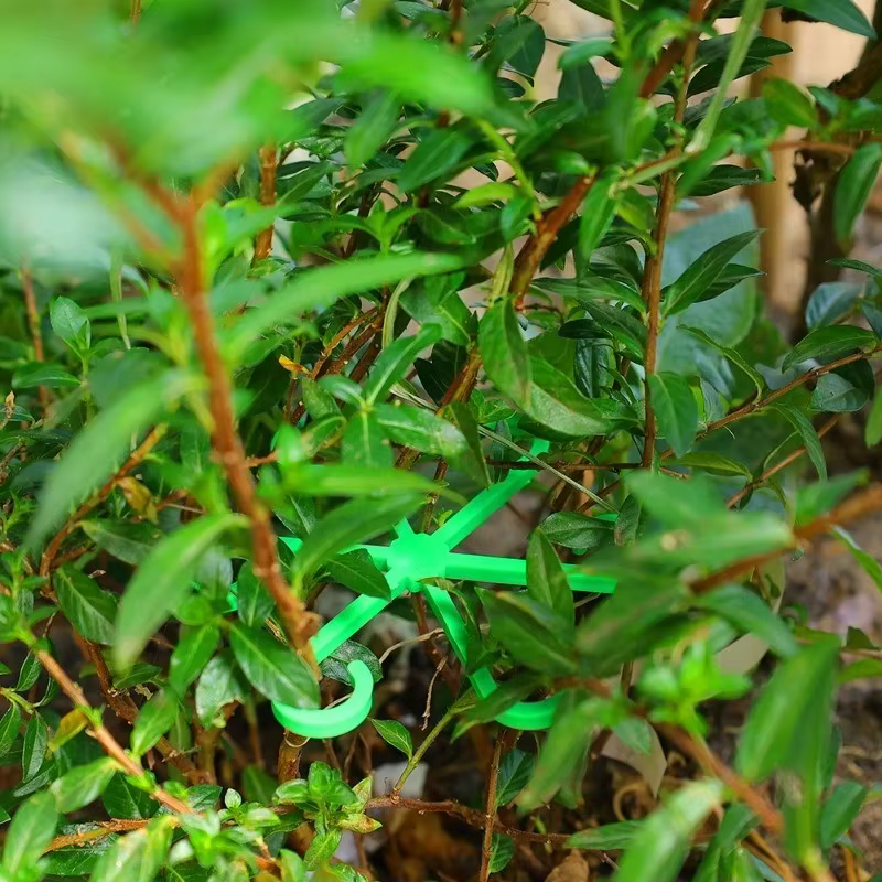 Kit de 4 supports anti-éclatement pour plantes