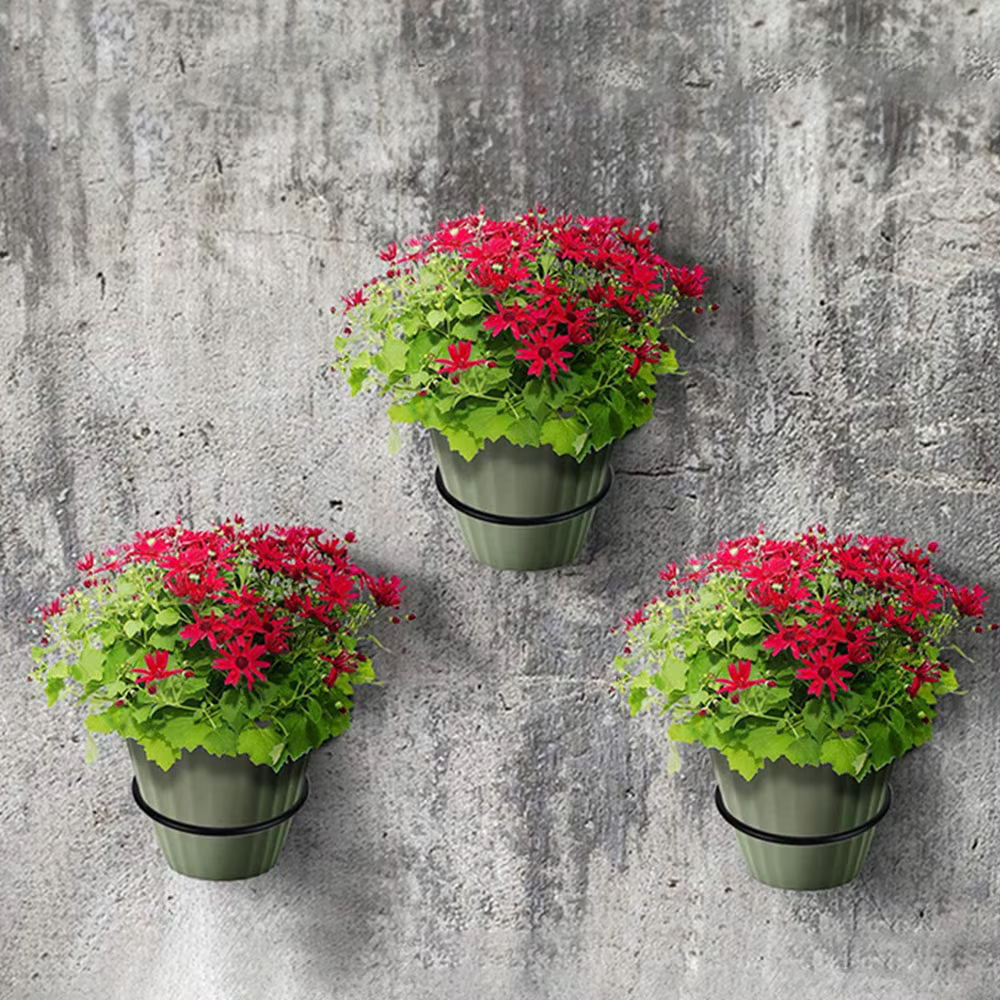Anneau de support de Pot de fleur mural