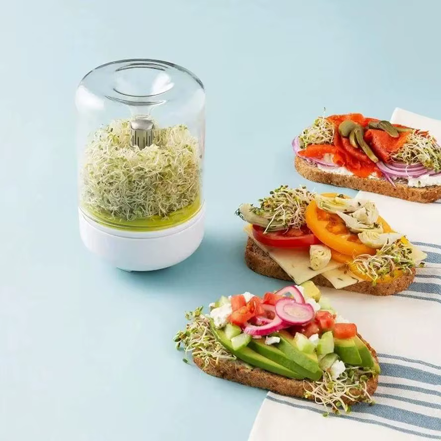 Kit de germination de germes de légumes pour comptoir