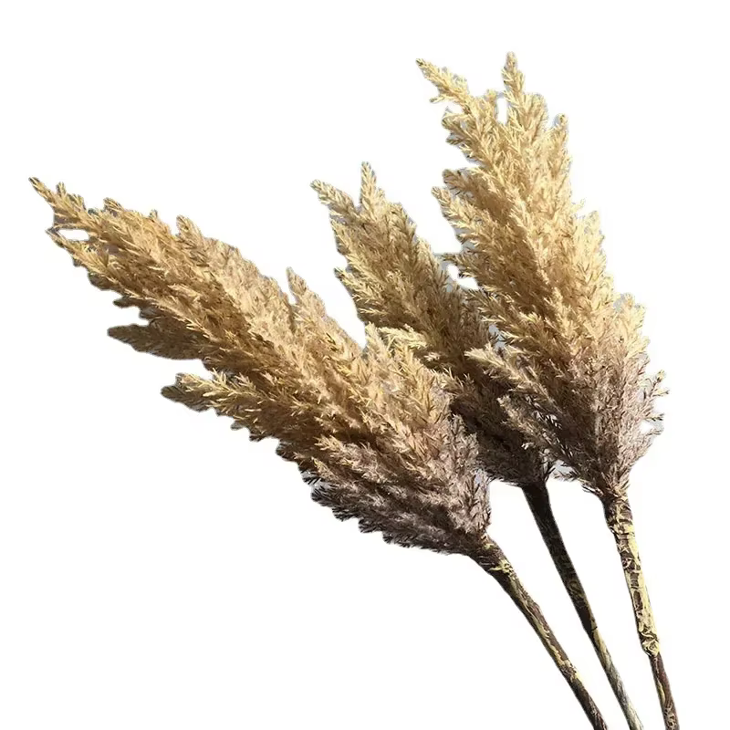 Ensemble de roseaux artificiels pour la décoration intérieure