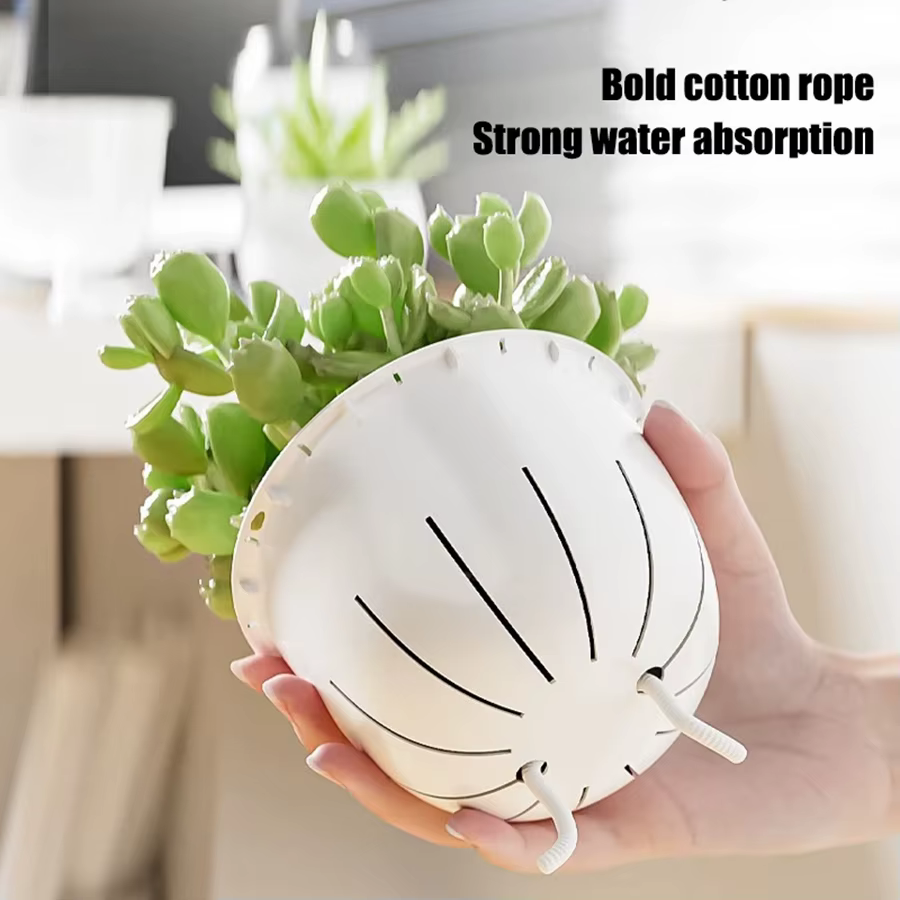 Pots de plantes auto-arrosants