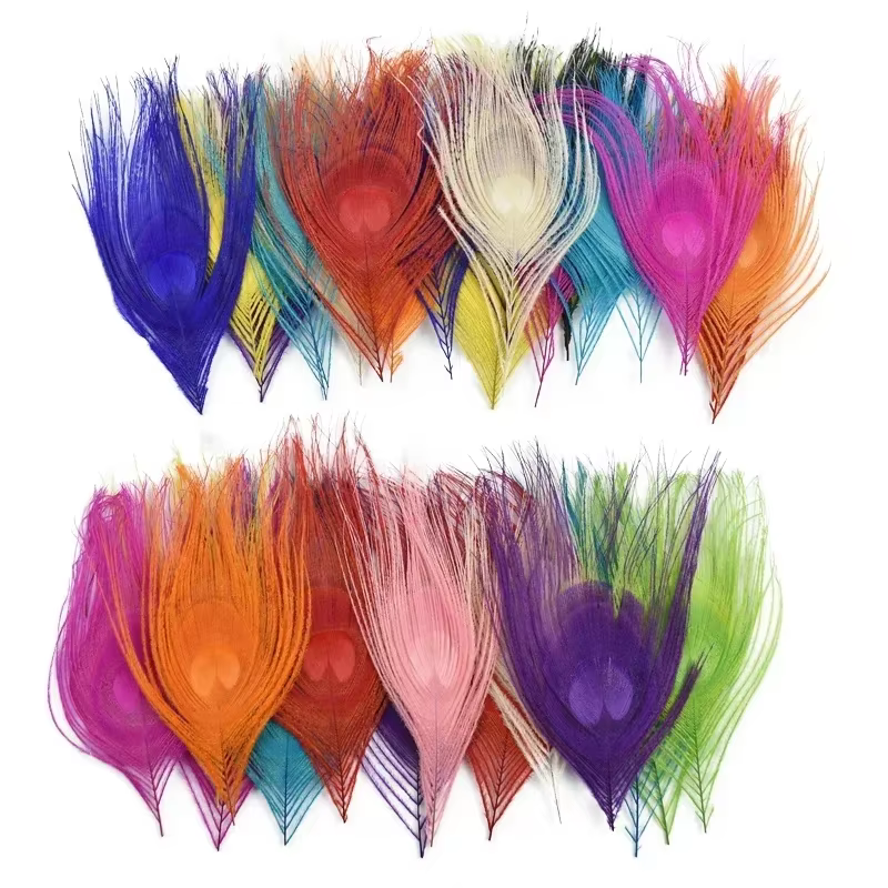Lot de 10 Plumes de Paon Colorées 10-15CM
