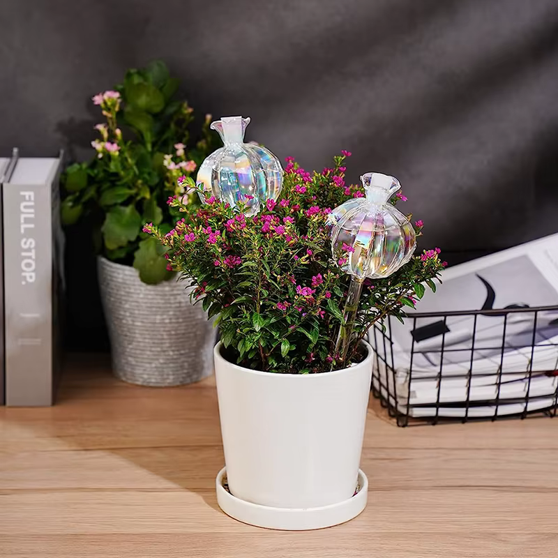 Ampoules d'arrosage automatique en verre pour plantes