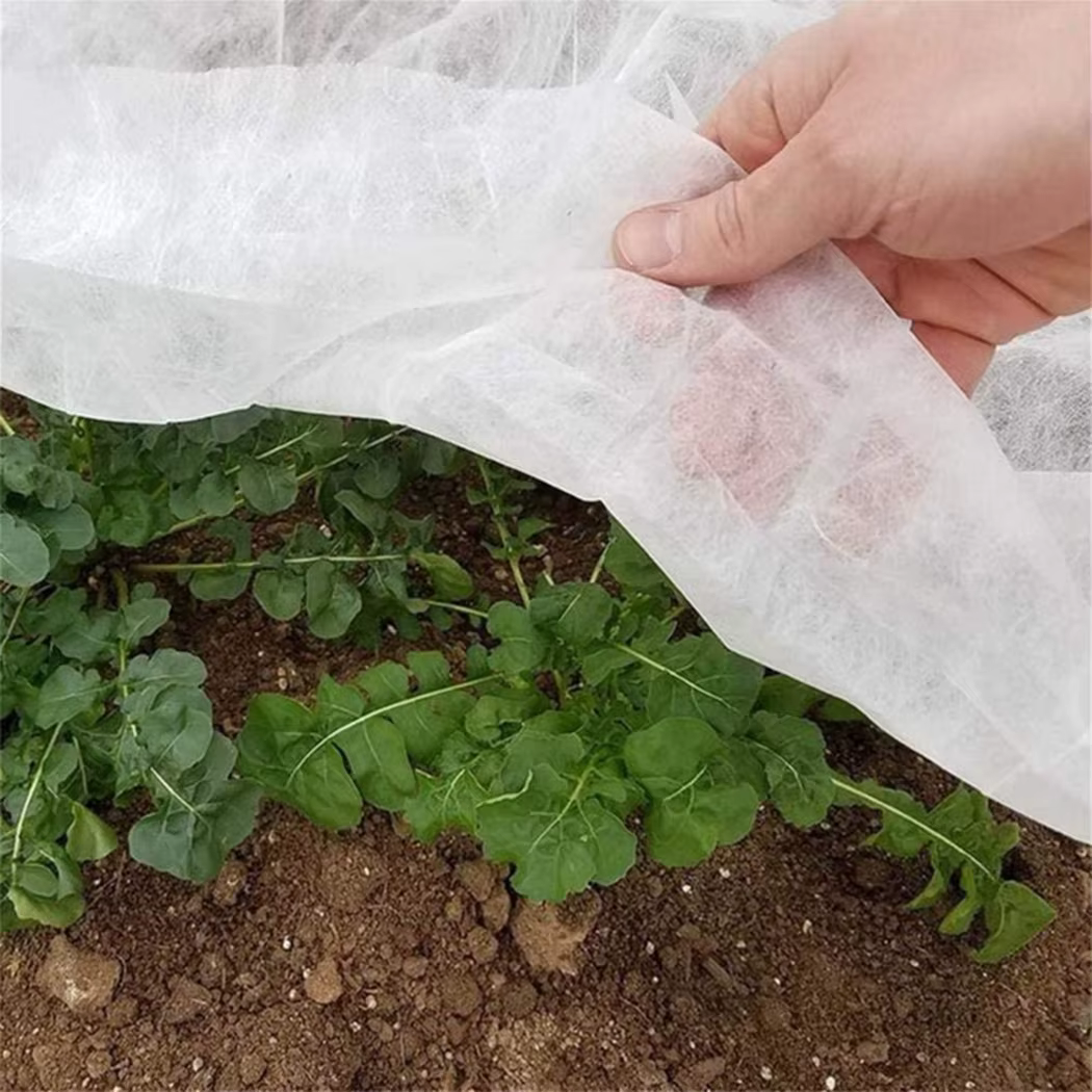 Juste de protection des plantes d'hiver pour jardin