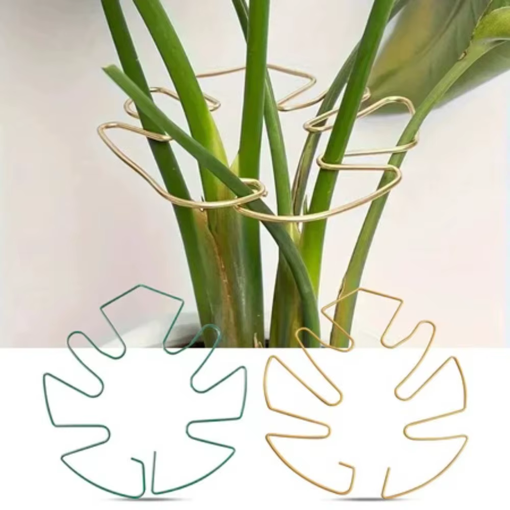 2 supports suspendus fixes en fer pour plantes