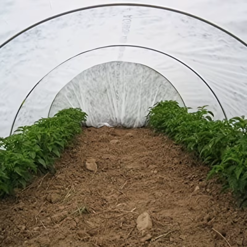 Couverture de protection des plantes en tissu non tissé épaissi