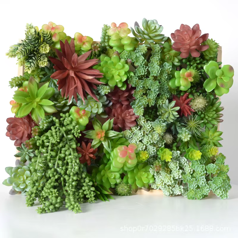 Diverses plantes succulentes artificielles tropicales