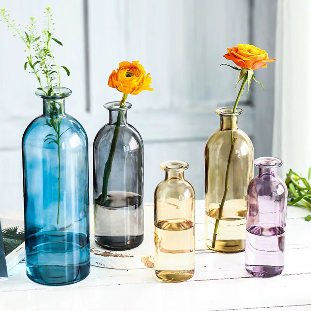 Vase à fleurs hydroponique transparent
