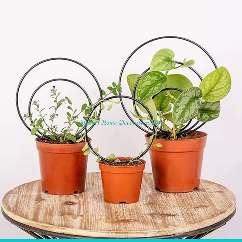 H7BF – treillis pour plantes d'intérieur