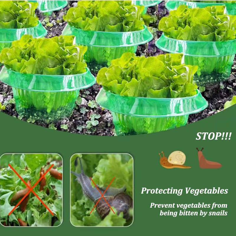 Anneaux de Protection des limaces pour plantes