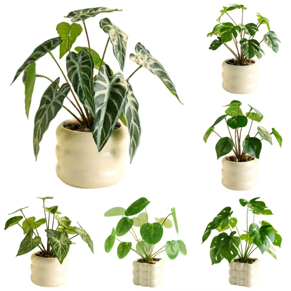 Plantes artificielles réalistes bonsaï