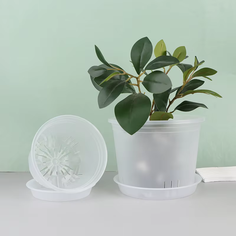 Pot d'orchidée rond Transparent avec/sans plateau