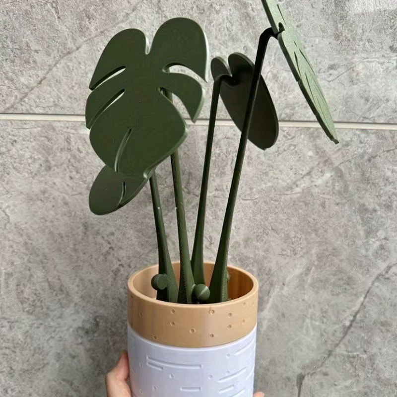 Monstera dessous de verre plante tortue bambou