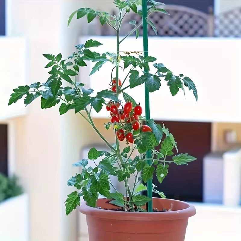 10 piquets de support robustes pour plantes