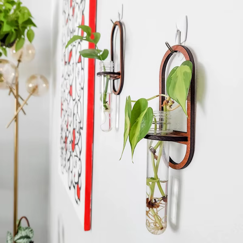 Vase mural pour plantes