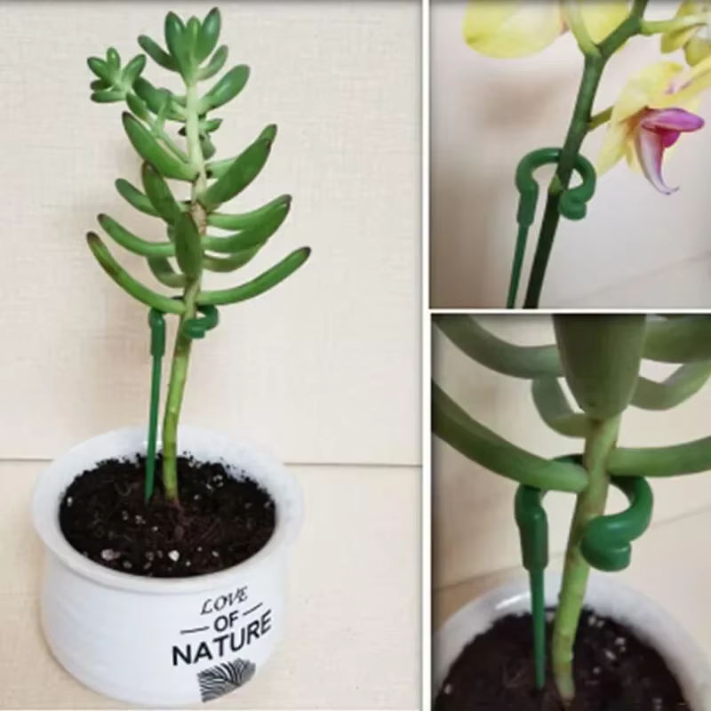 10 piquets de support pour plantes de 27 cm