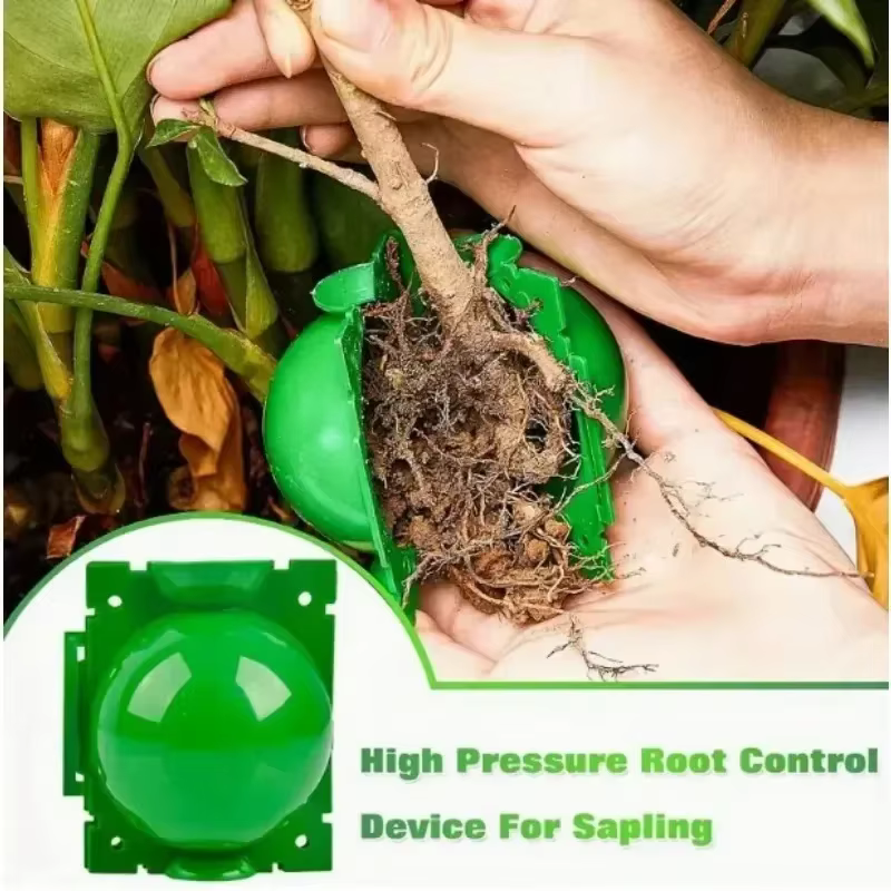 Boule d'enracinement pour plantes