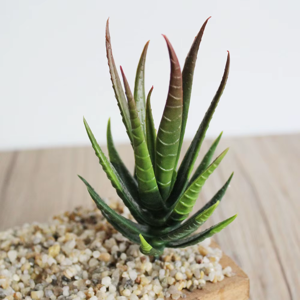 Vert rose jaune zèbre Aloe plantes succulentes artificielles maison jardin décoration bricolage