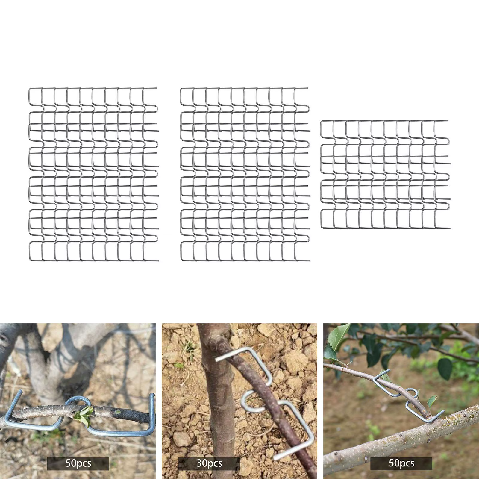Extracteur de branches d'arbre fruitier