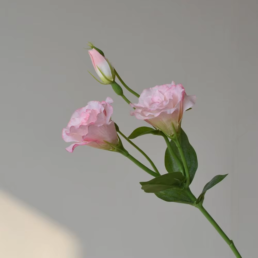 Fleurs artificielles Lisianthus au toucher réel