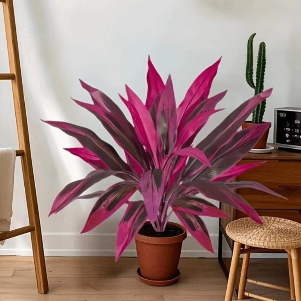 Arbre artificiel en plastique Dracaena