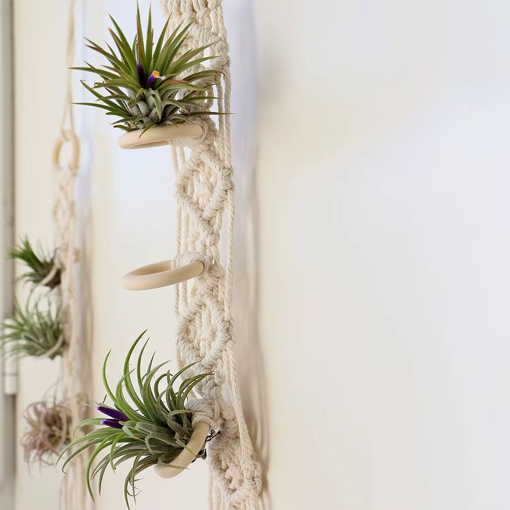 Porte-plantes en macramé pour salon intérieur