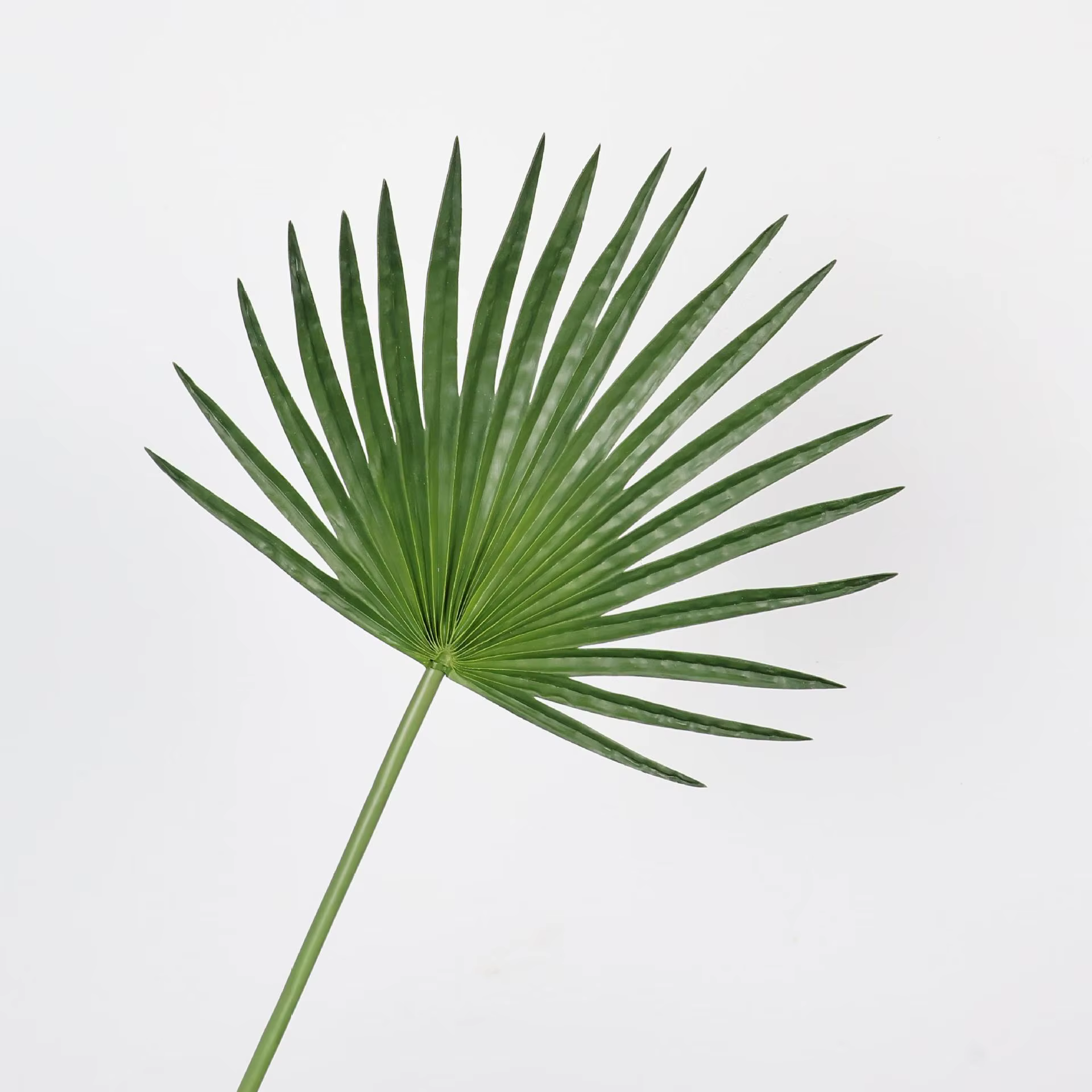 Feuille de palmier artificielle de 26 pouces