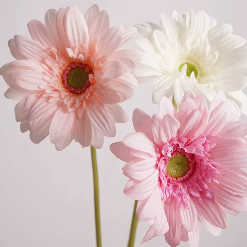 Gerbera-Fleurs Artificielles Hydratantes au Toucher Réel