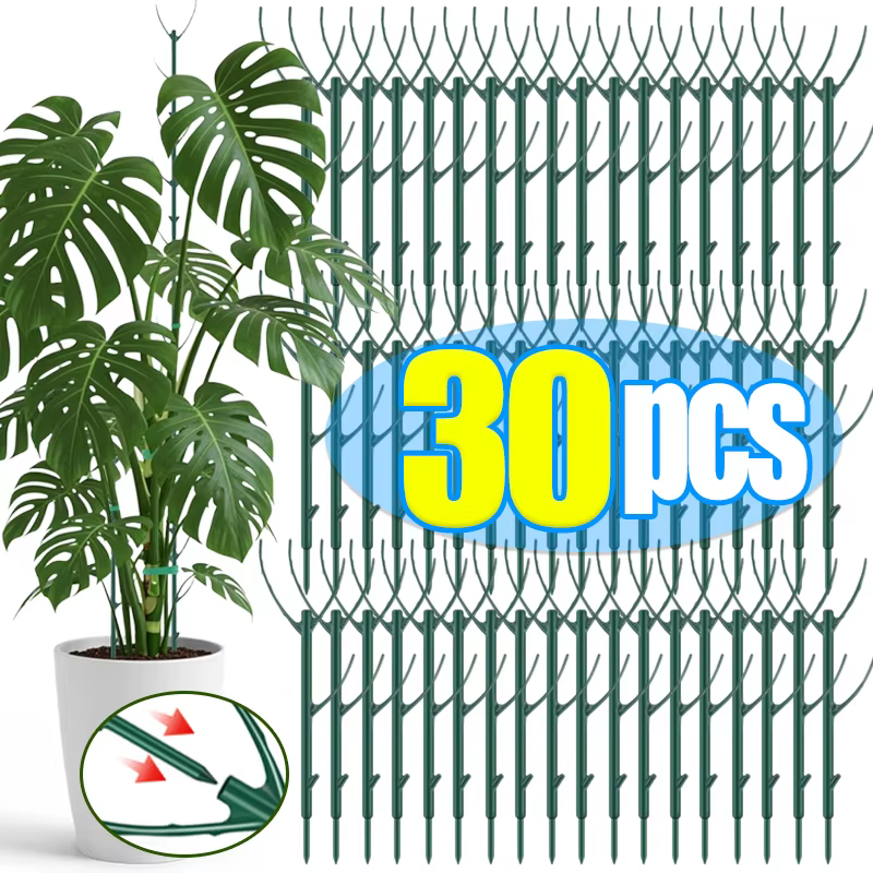 Piquets de Support pour plantes