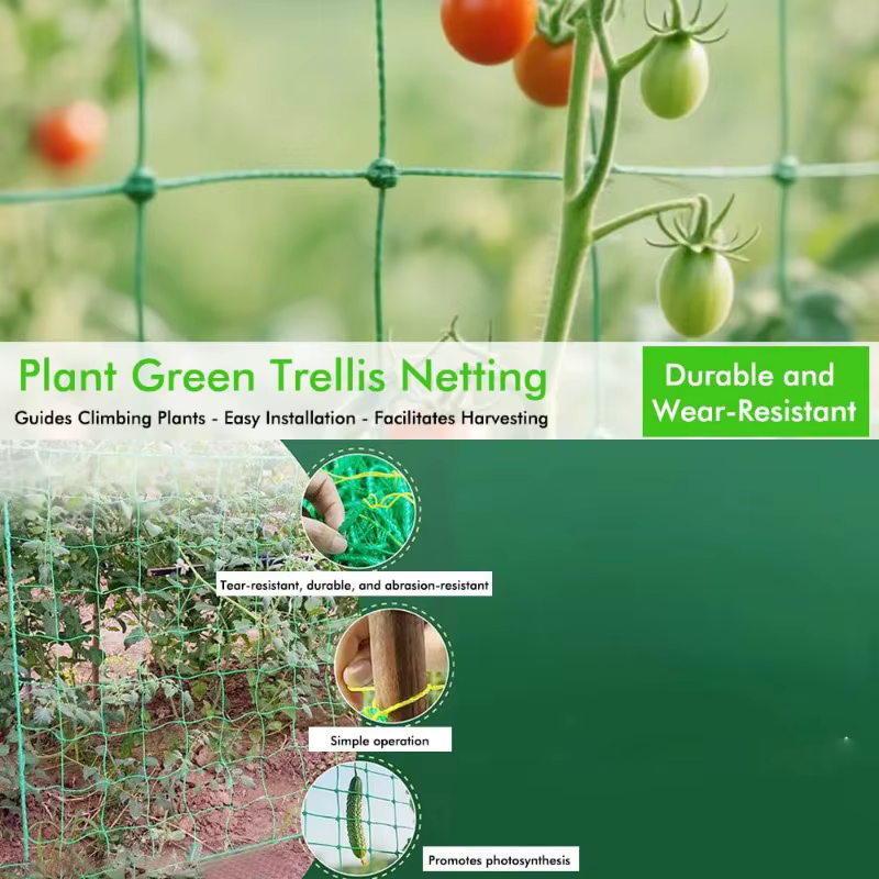 1 filet de jardin en nylon pour plantes grimpantes