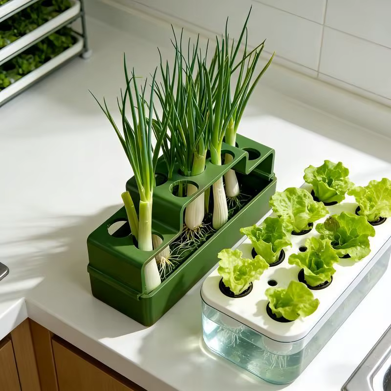 Un dispositif de plantation spécialement conçu pour les oignons verts