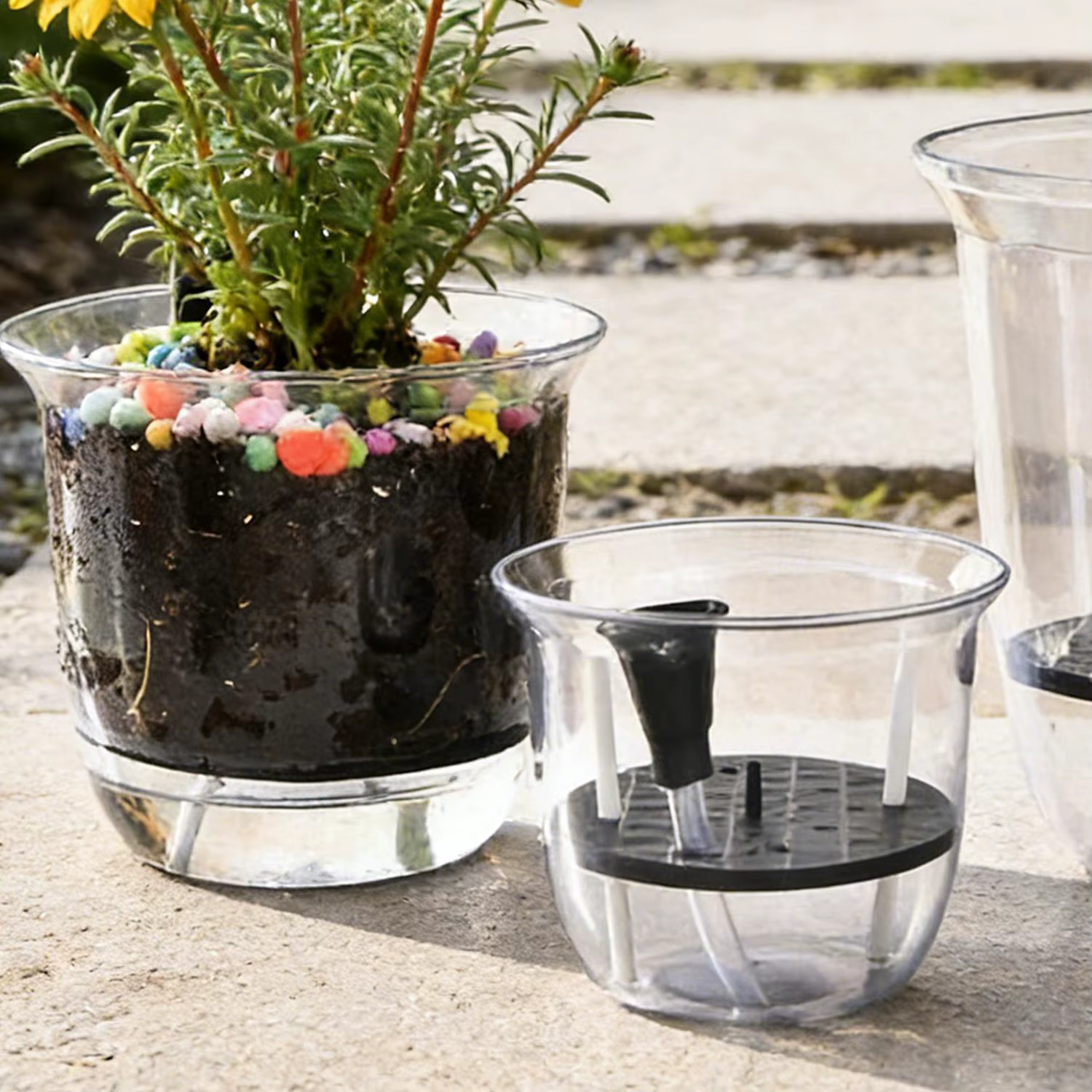 Pots de plantes en plastique