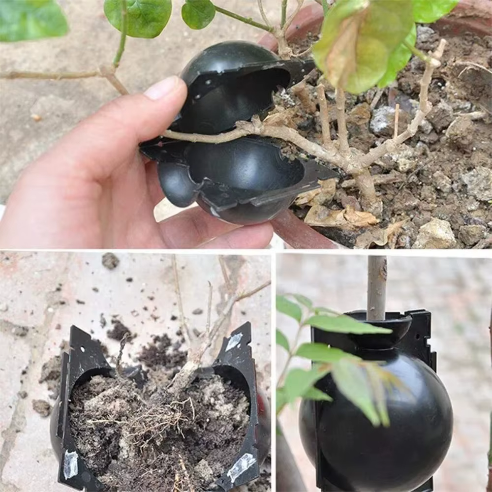 Boule de culture de racines de plantes réutilisables