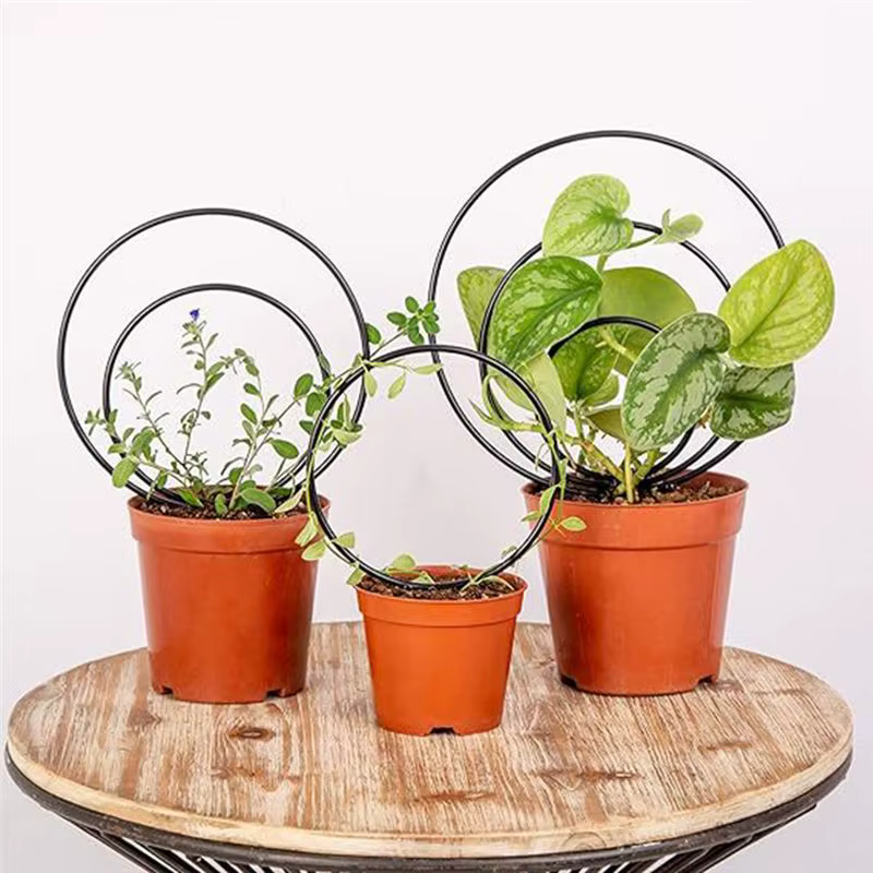 A36T-Ensemble de 3 treillis ronds d'intérieur pour plantes grimpantes