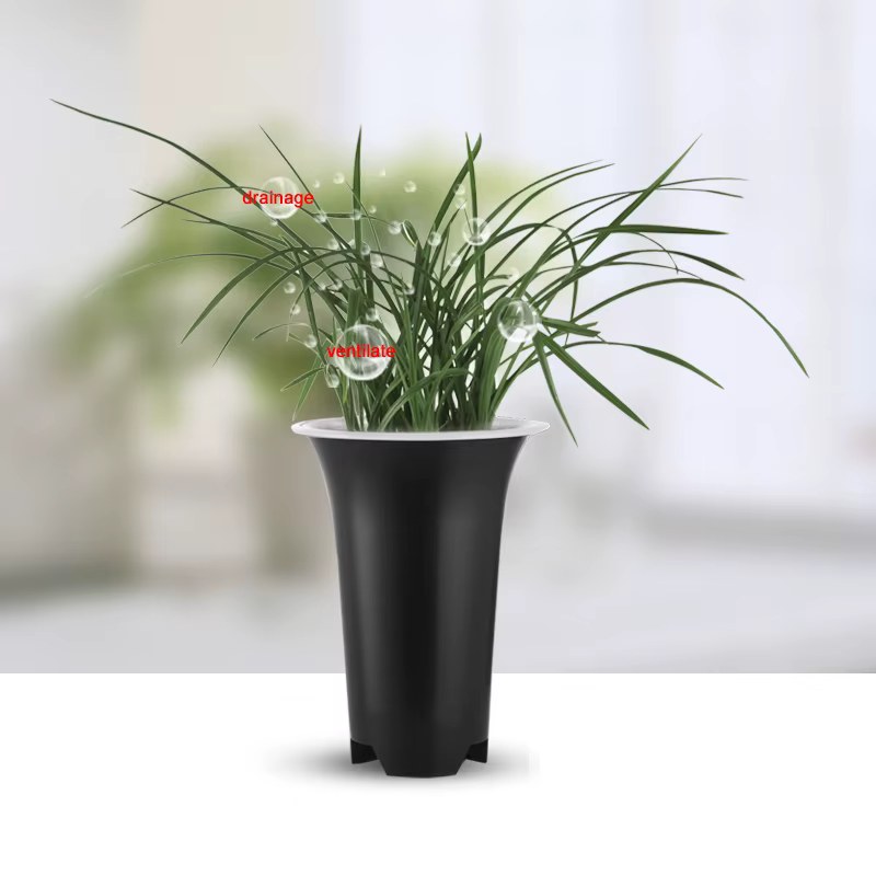 Cymbidium Orchid Pots avec trous d'air