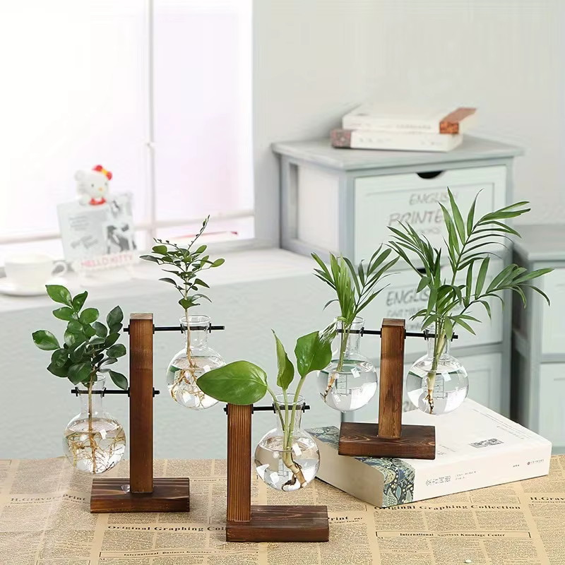 Vases à plantes hydroponiques