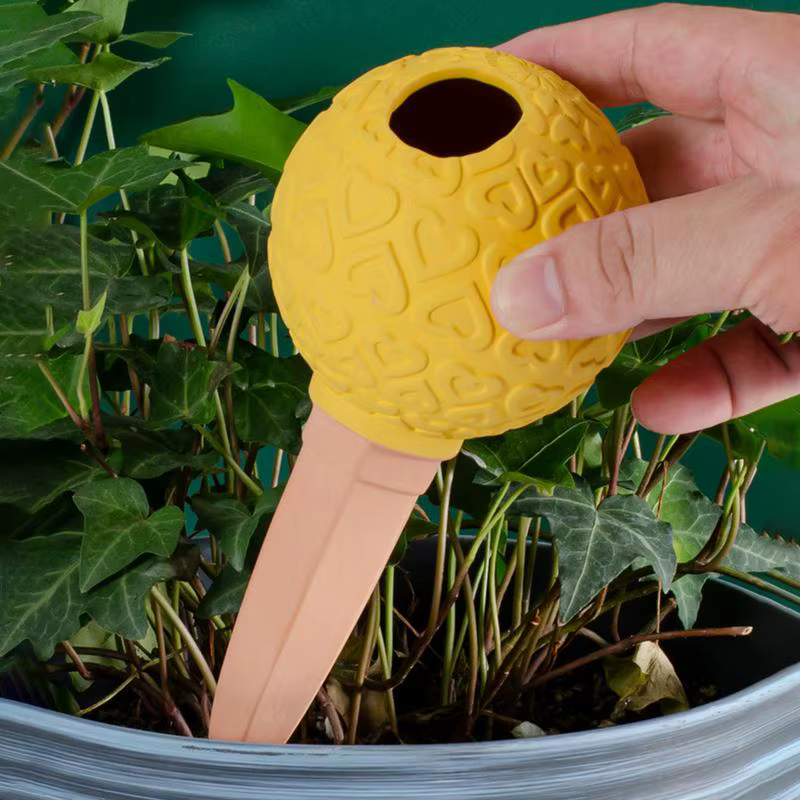 Système de Globes d'arrosage automatique pour plantes