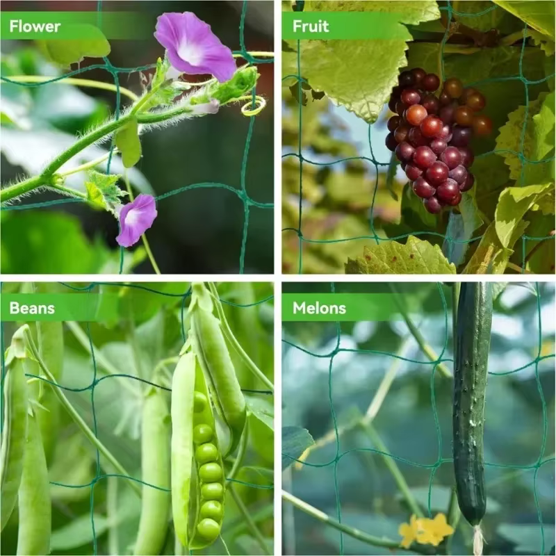 Filet d'escalade pour plantes de jardin