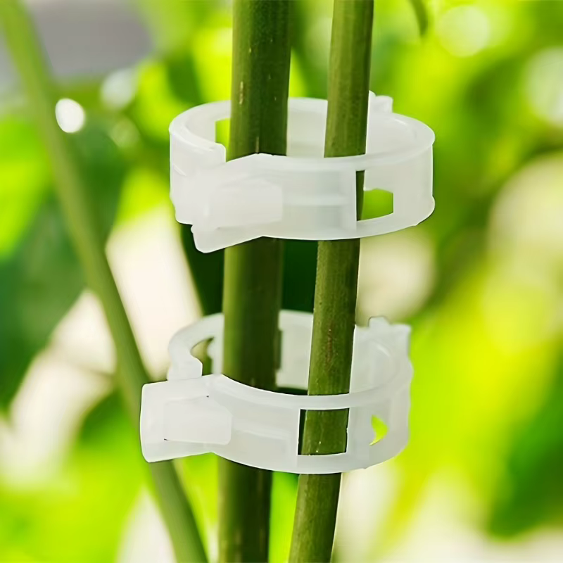 50 pièces - Tomates et plantes grimpantes - Outils durables et résistants aux intempéries pour l'entraînement et l'assistance.
