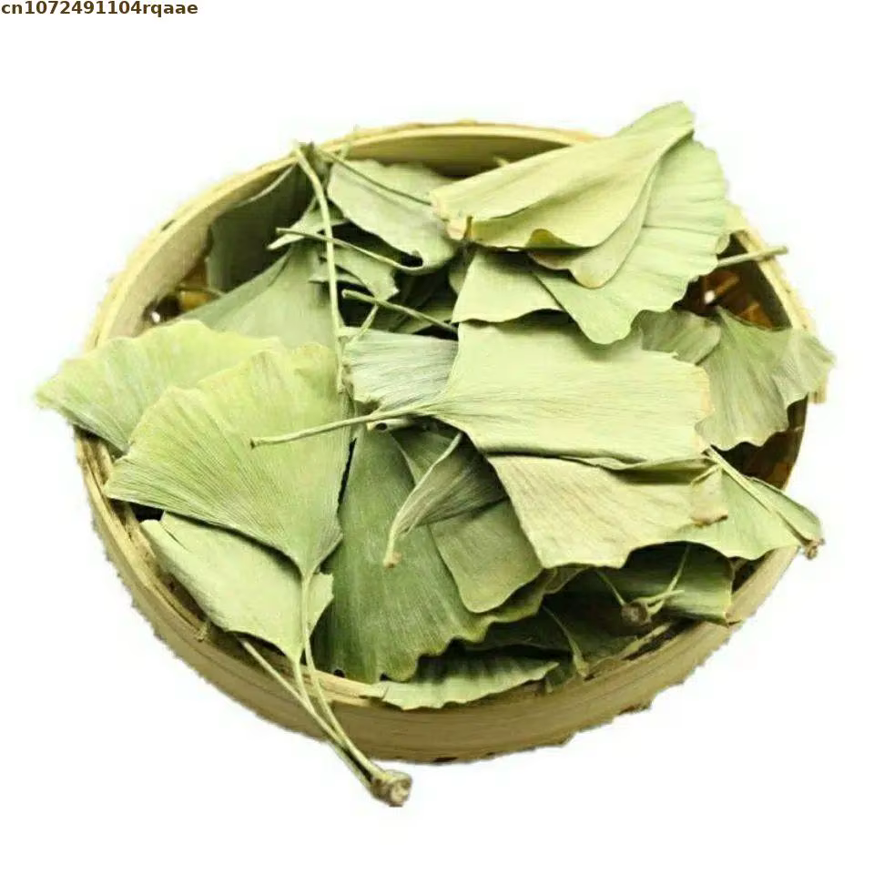 Feuilles de Ginkgo Biloba séchées naturelles