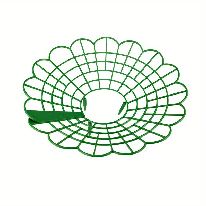 Supports pour plantes de fraises