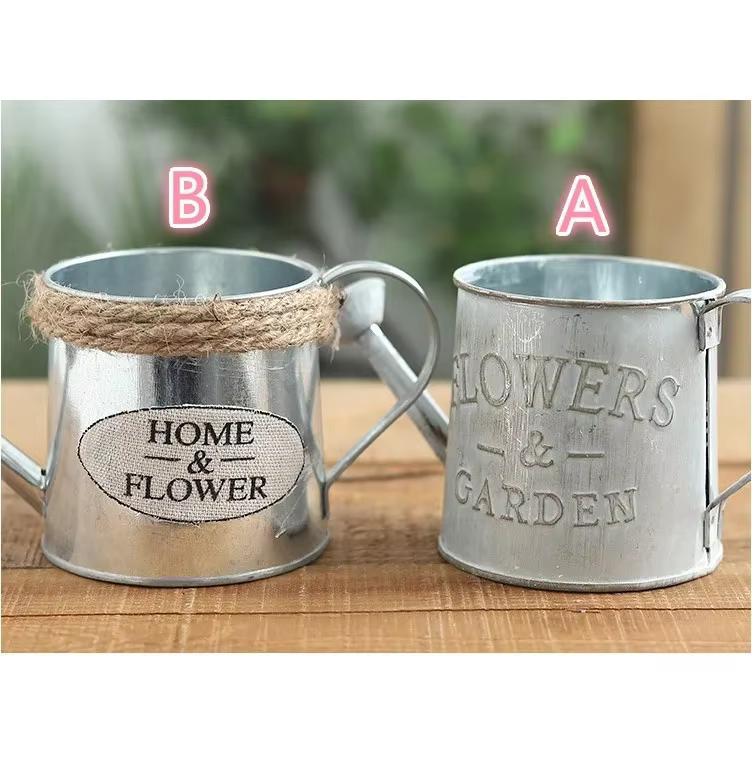Petit arrosoir en fer, Pots seau en fer rétro pour fleurs