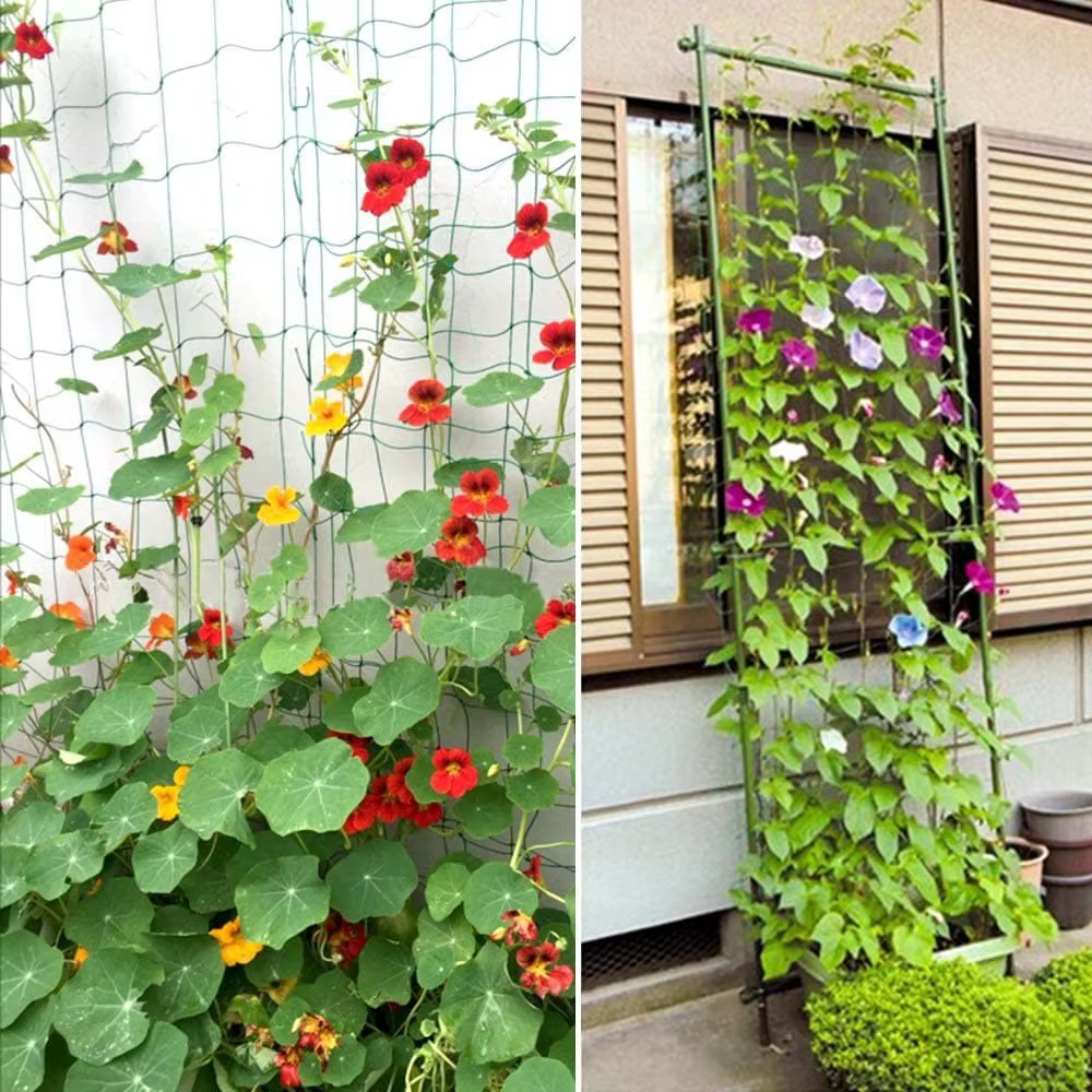 Filet d'escalade de jardin pour plantes