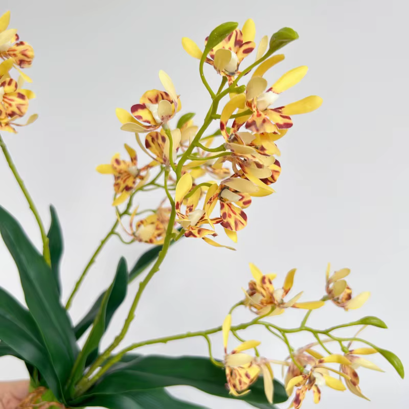 Orchidées artificielles au toucher réel